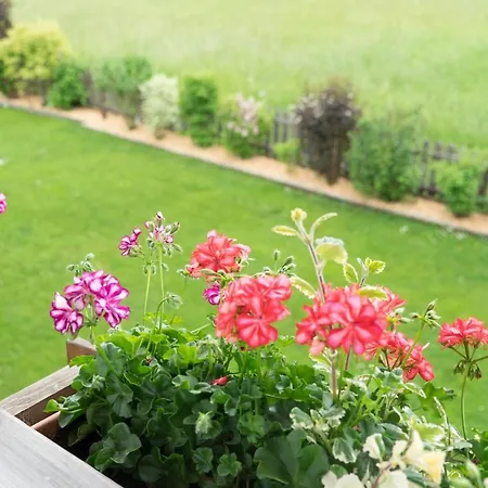 Апартаменты Rauth Лойташ