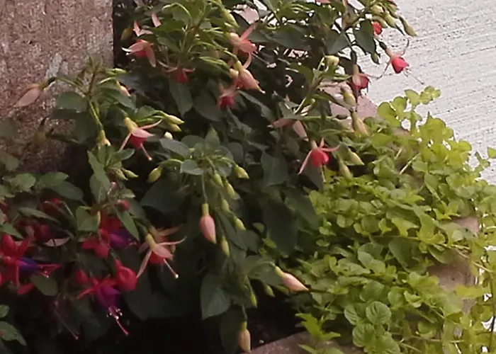 Apartment Rauth Leutasch