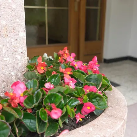 Landhaus Rauth Apartmán *