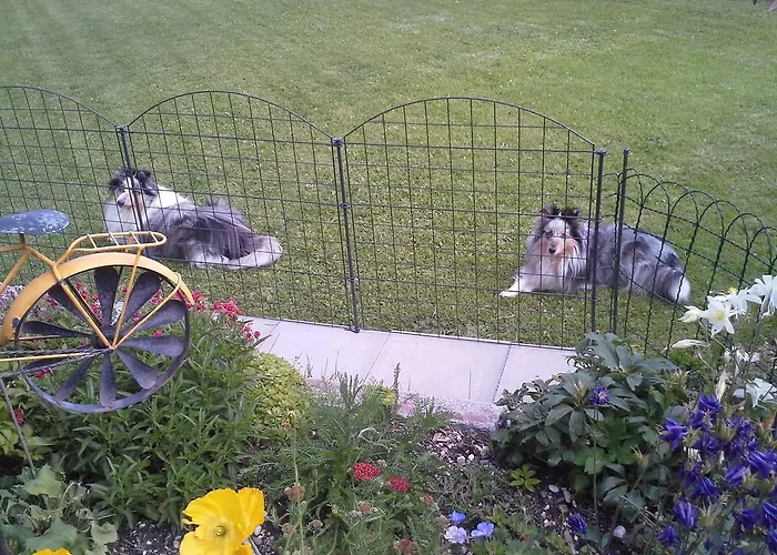 Apartmán Landhaus Rauth *