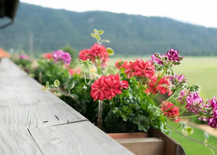 Landhaus Rauth Leutasch